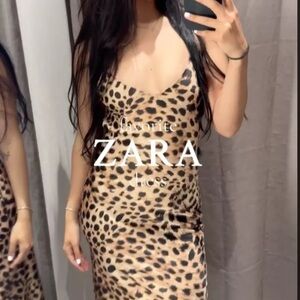 Zara Leopard Print Dress